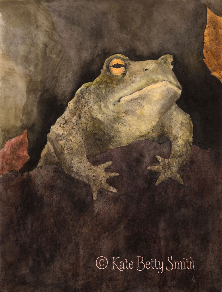 ks_toad_watermarked_by_kbs_art-dakzhly