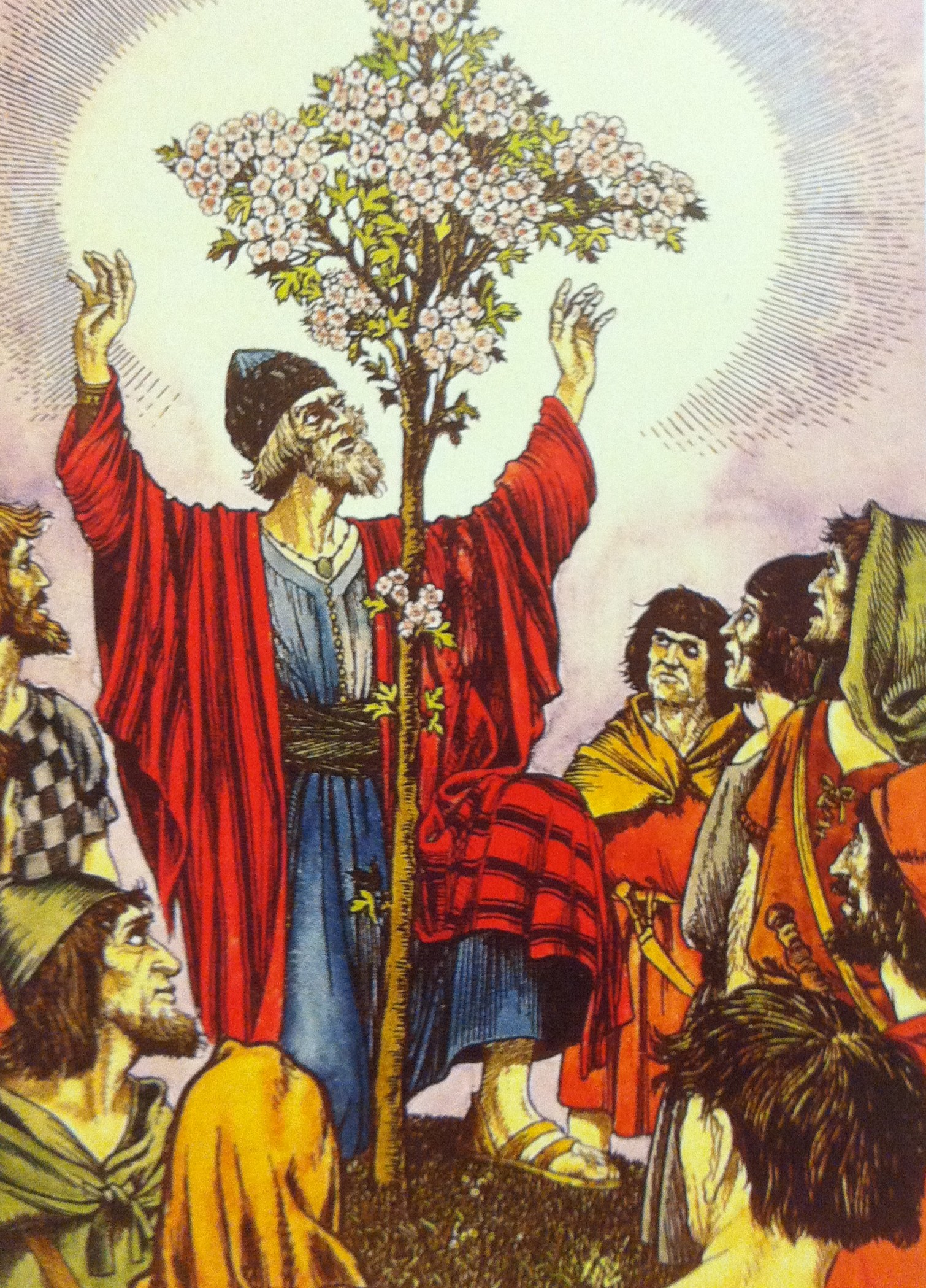 joseph of arimathea's staff grows into hawthorn