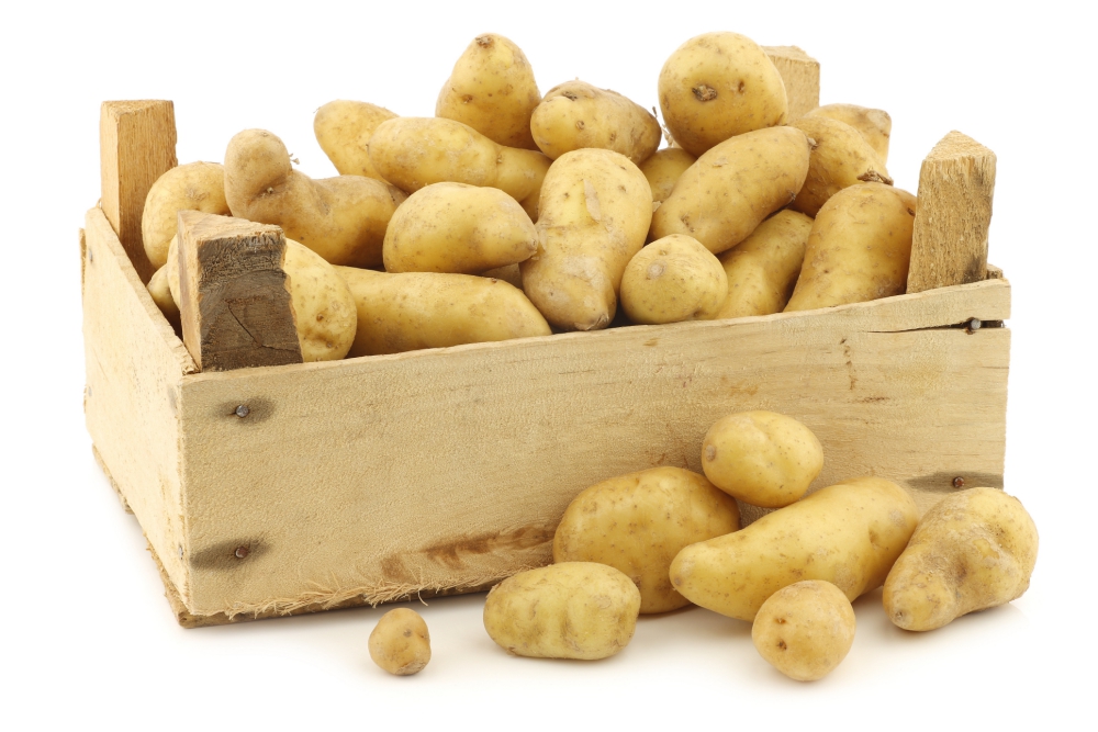 Gardening MOR 050415