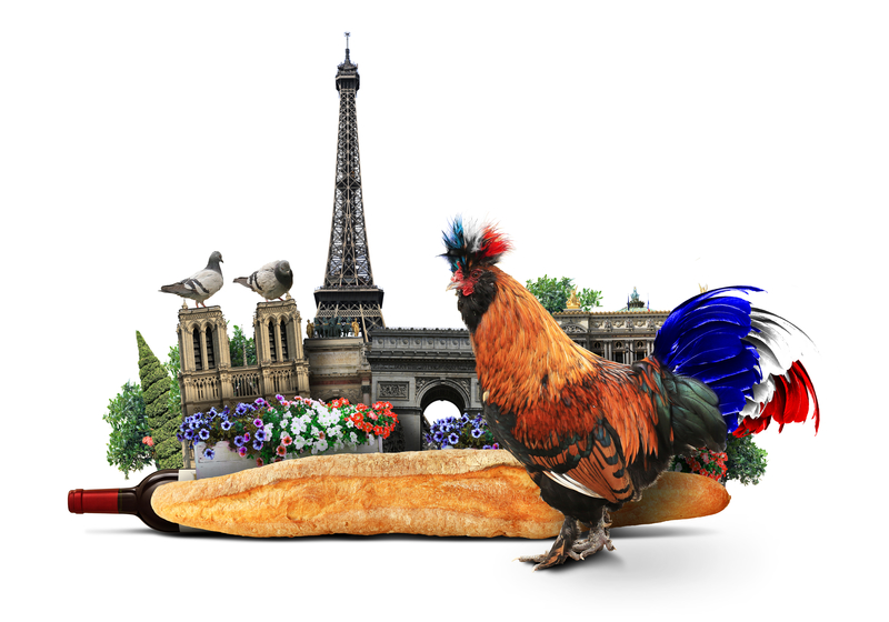 French-rooster