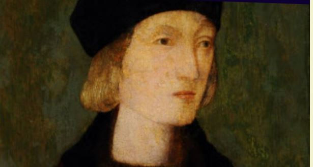 A rather handsome Henry VII
