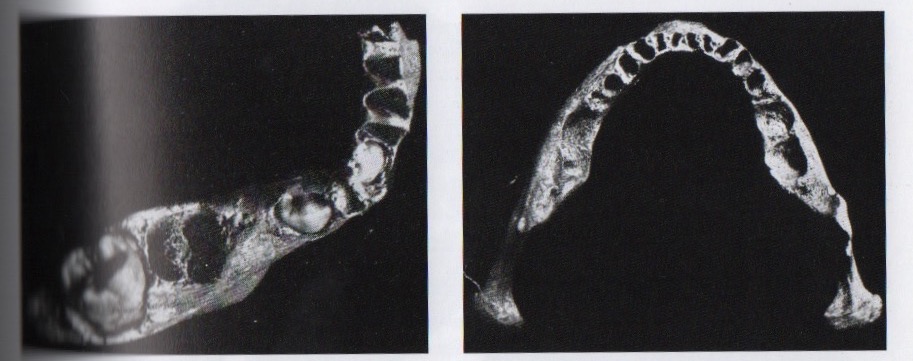 FullSizeRender 2.jpg