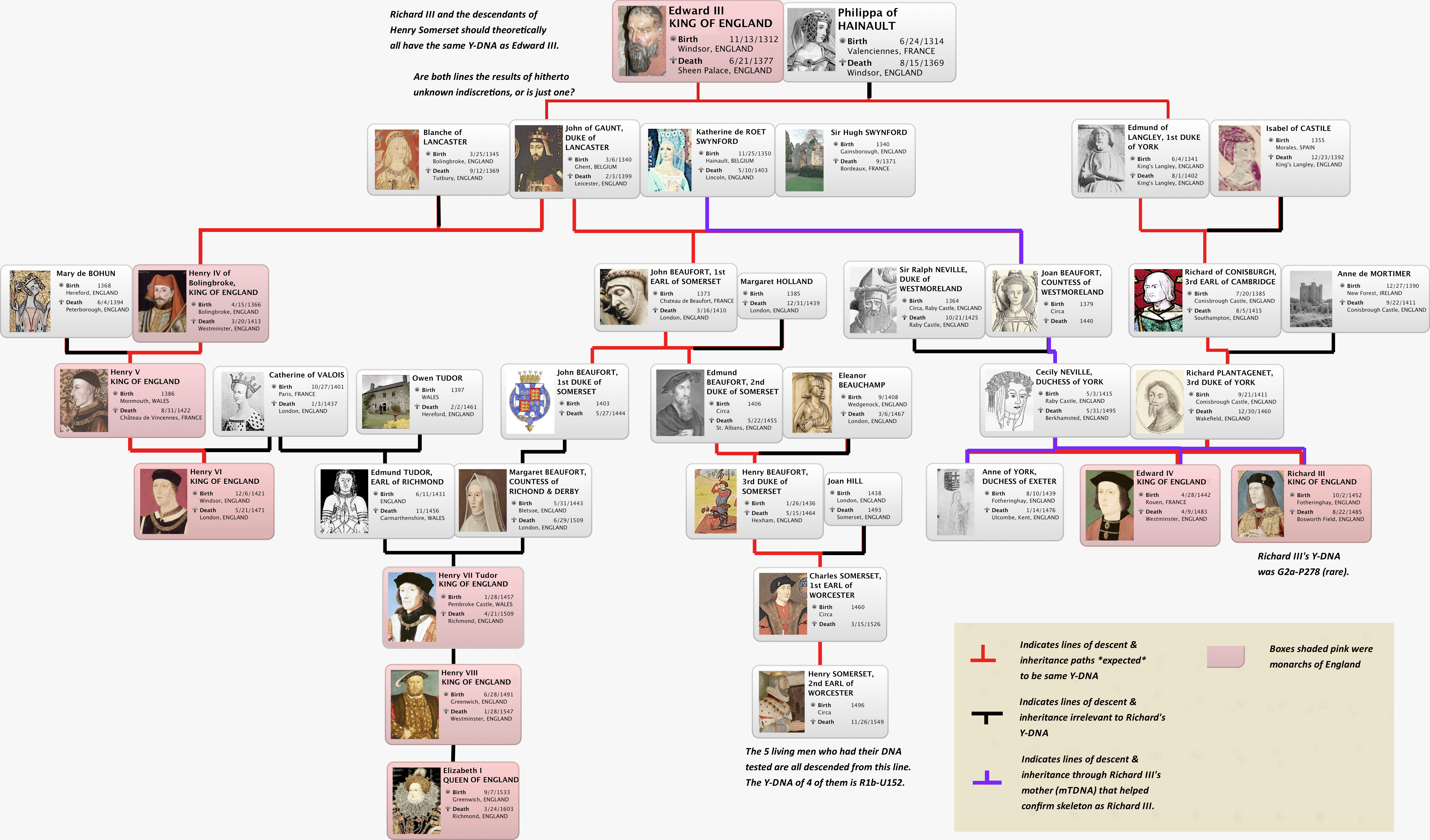 DNA - family tree