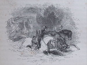 300px-CO_TwrchTrwyth(Guest)