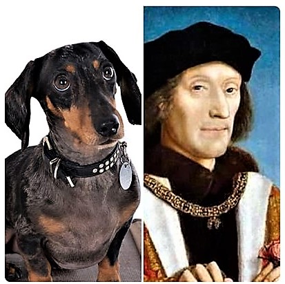 Nothing but a Hound&nbsp;Dog?